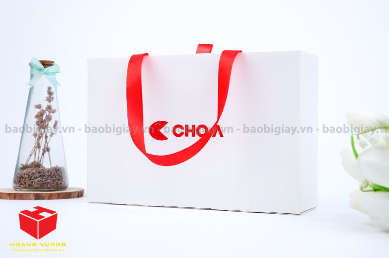 Mẫu túi xách giấy đẹp để đựng quà